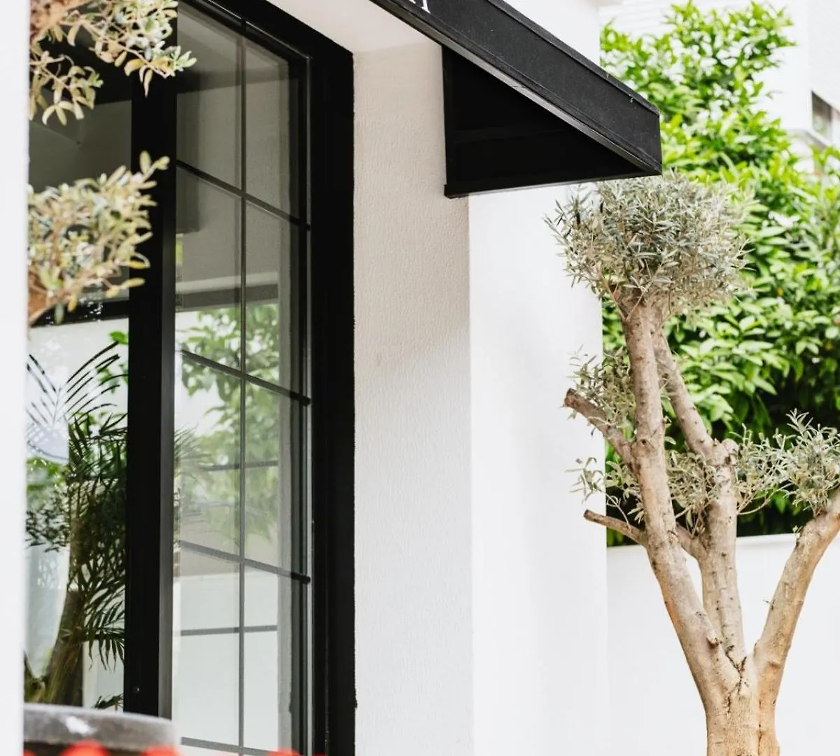Ella Suites Hotel Antalya Turcja