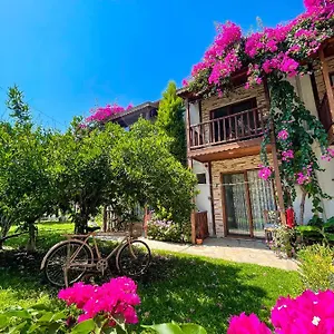 Misafir Evi Faralya